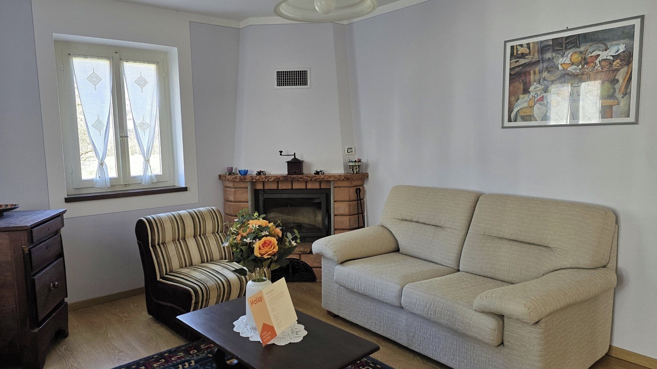 Photo of Livingroom in Palagnedra