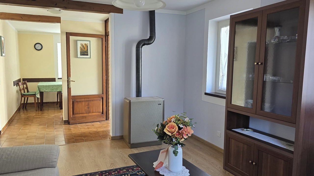 Photo of Livingroom in Palagnedra