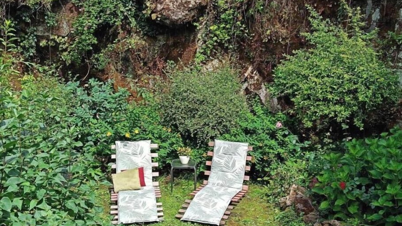 Photo of Outdoor in Laguepie