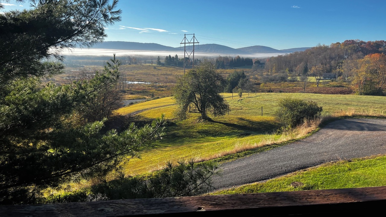 Photo of Outdoor in Davis