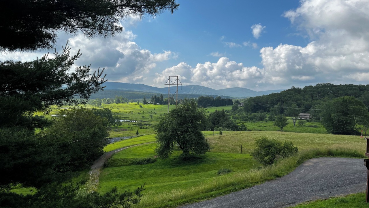 Photo of Others in Davis