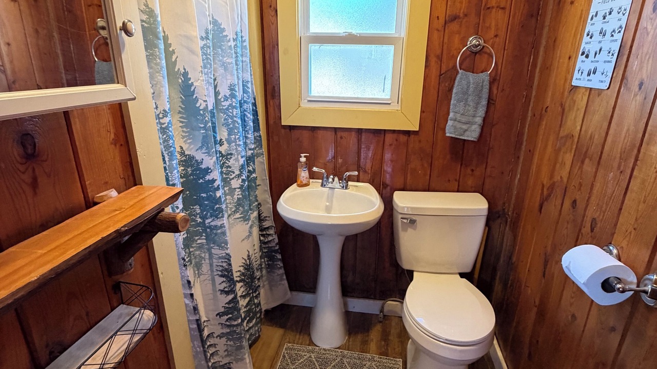 Photo of Bathroom in Gaylord