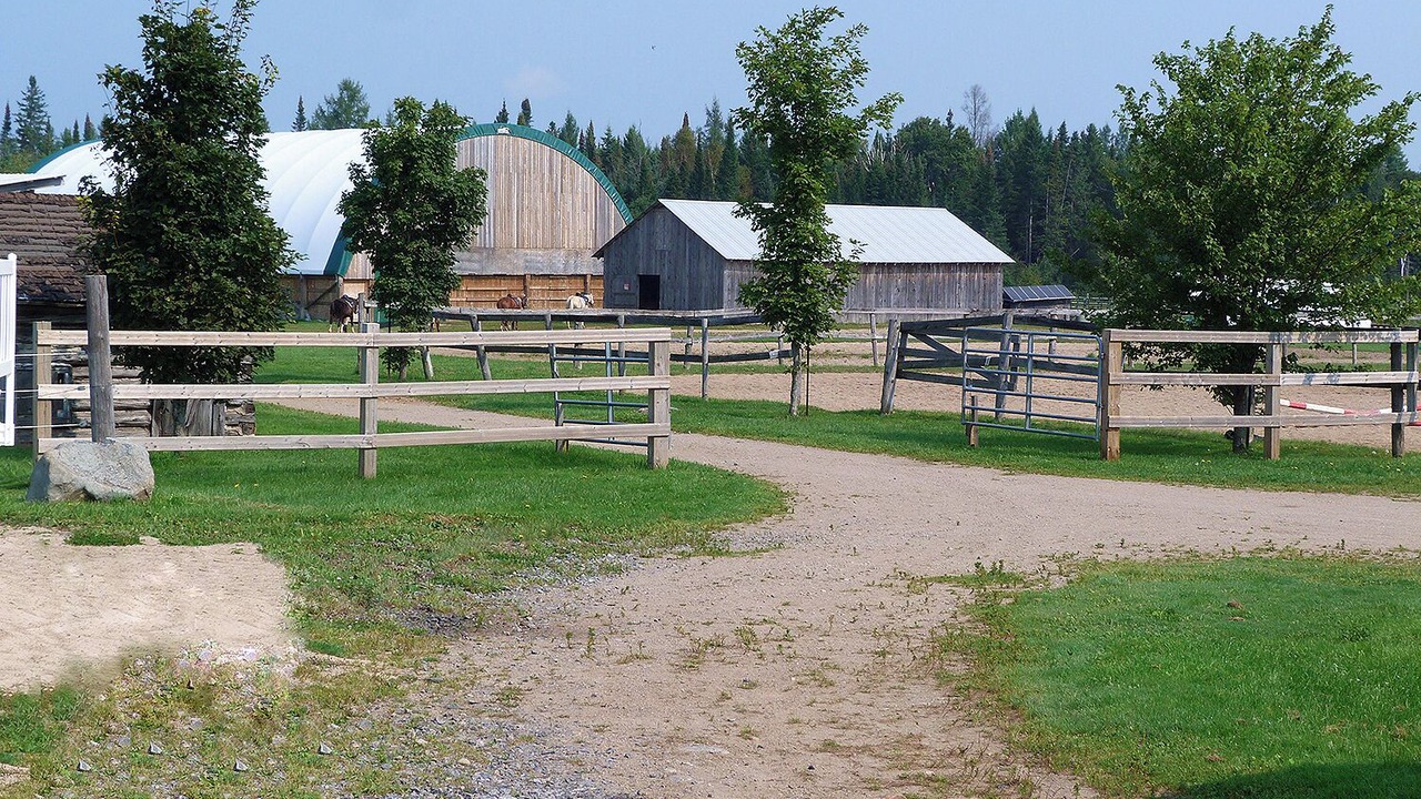 Photo of Others in Hastings Highlands