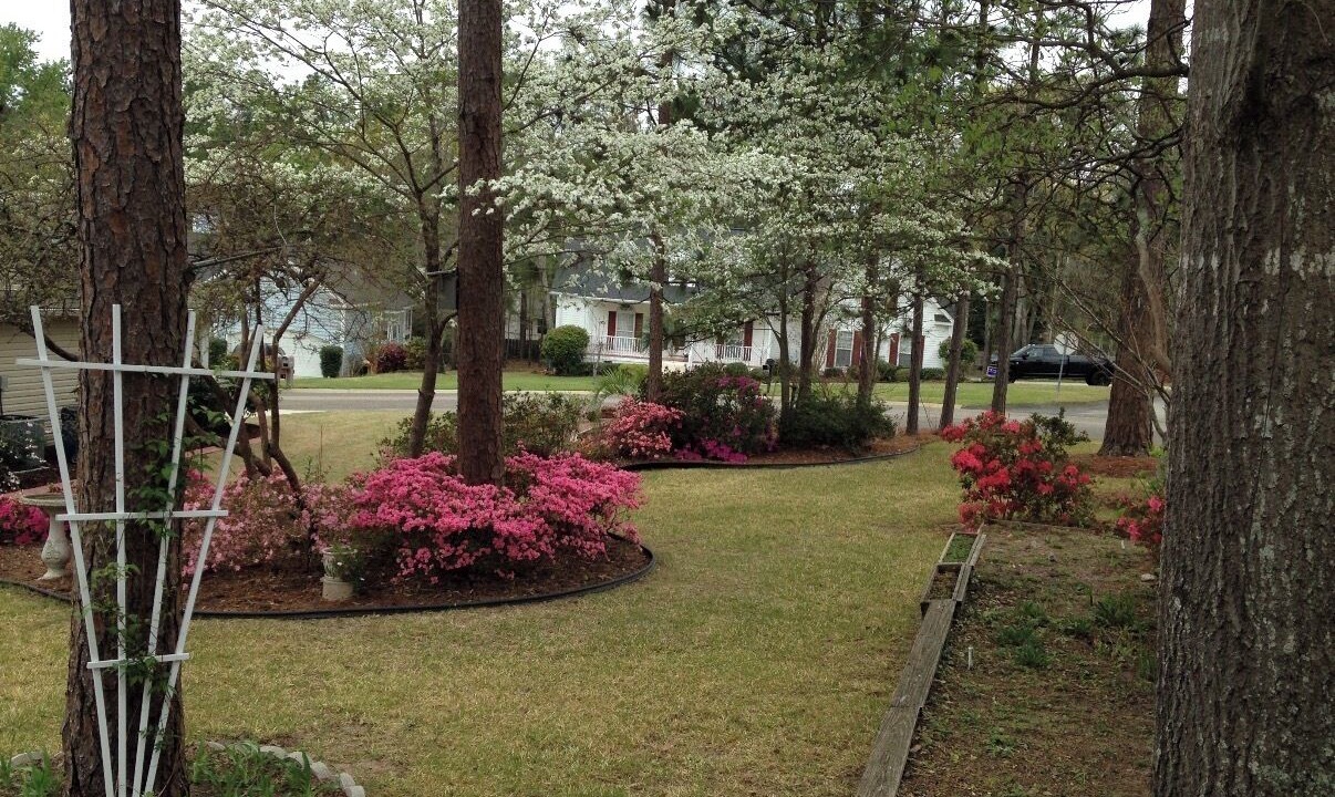 Photo of Outdoor in Aiken