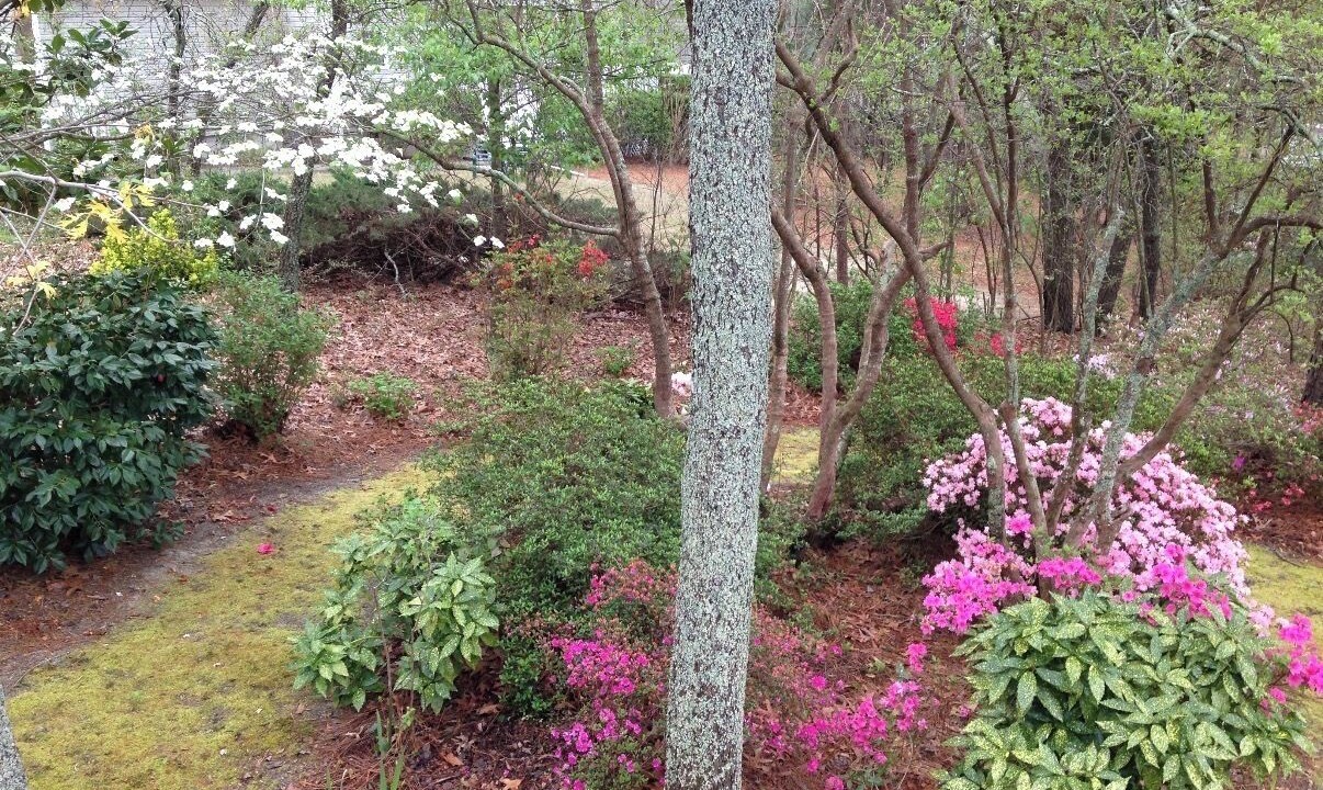 Photo of Outdoor in Aiken
