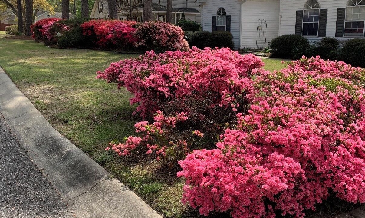 Photo of Outdoor in Aiken