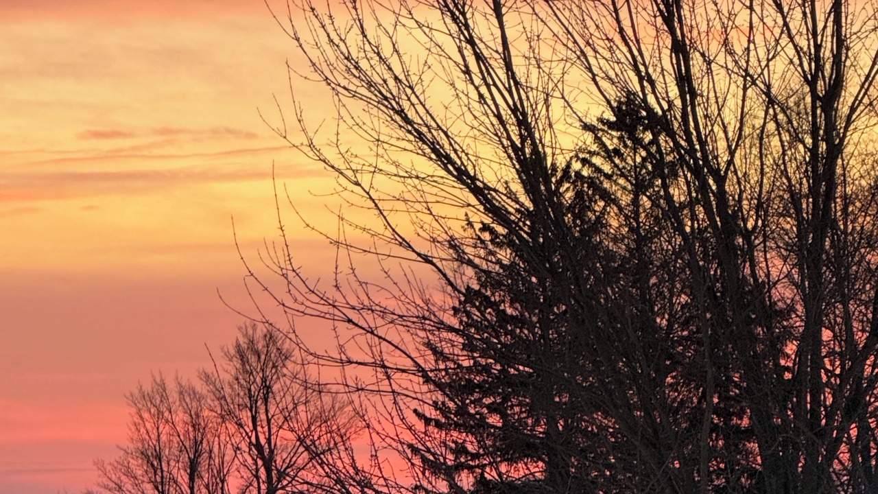 Photo of Outdoor in Town of Catharine