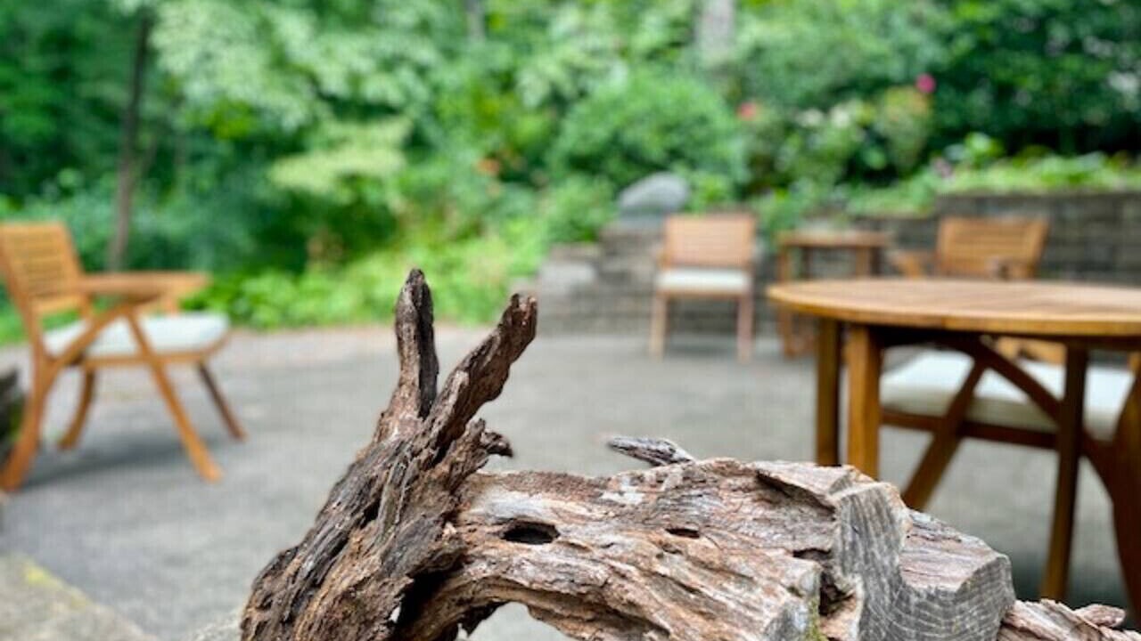 Photo of Outdoor in Fry's Spring