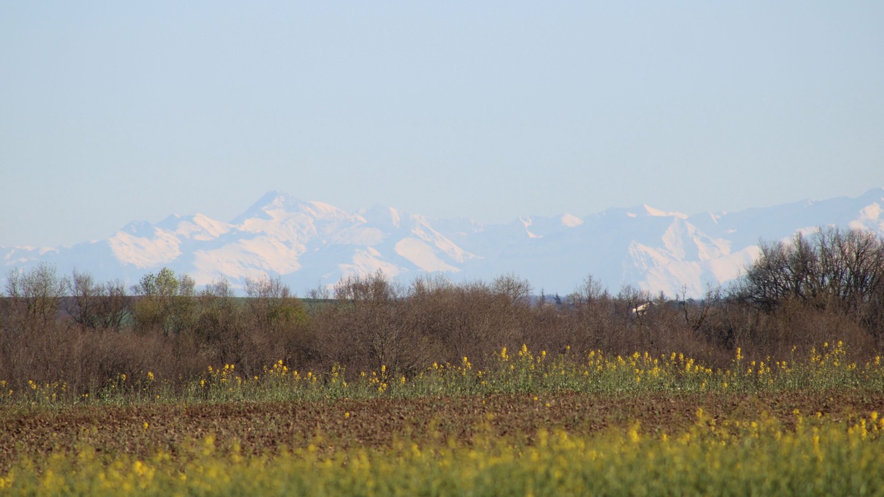 Photo of Others in Fleurance