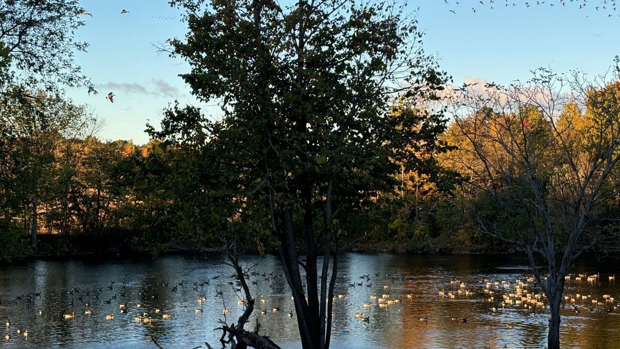 Photo of Others in Champlain
