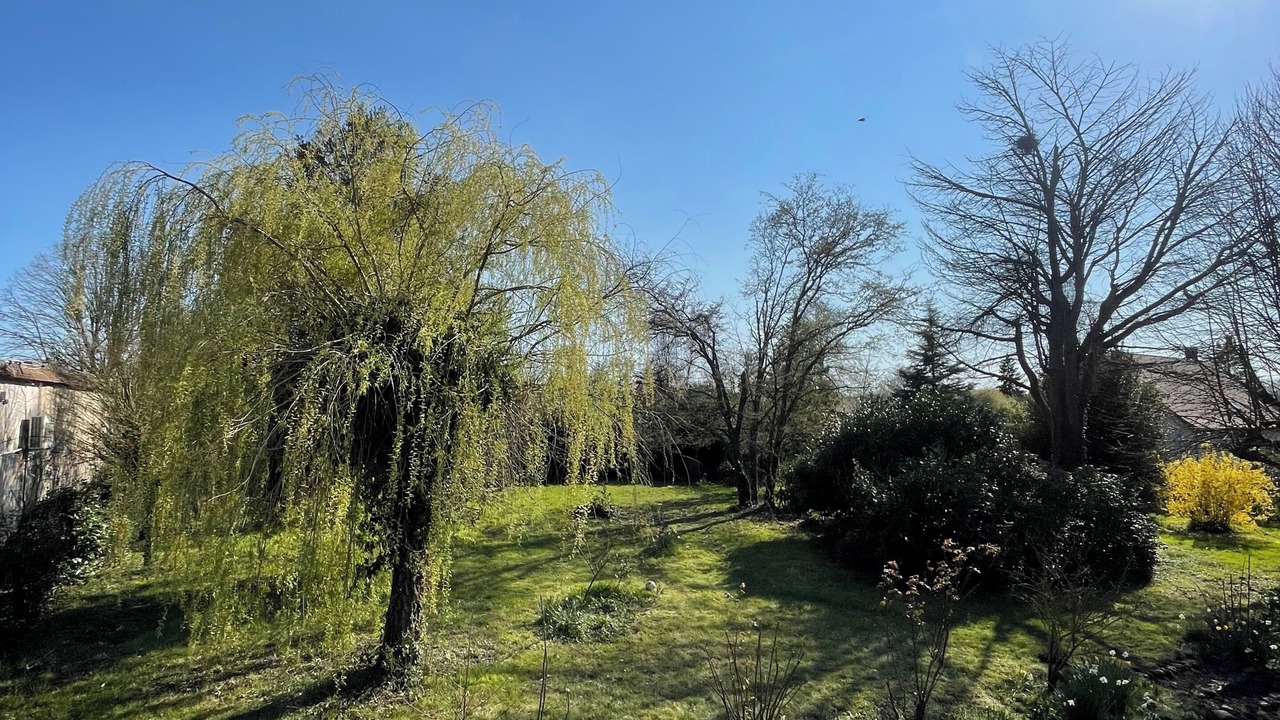 Photo of Outdoor in Acon