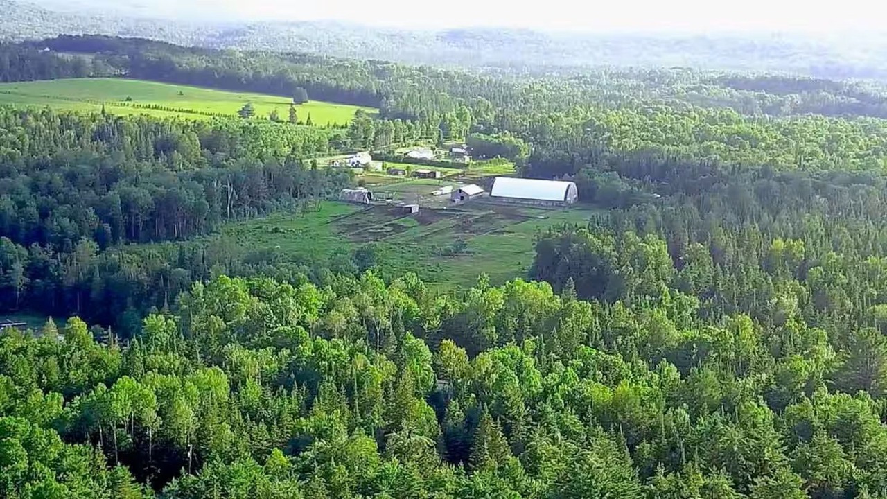 Photo of Outdoor in Hastings Highlands