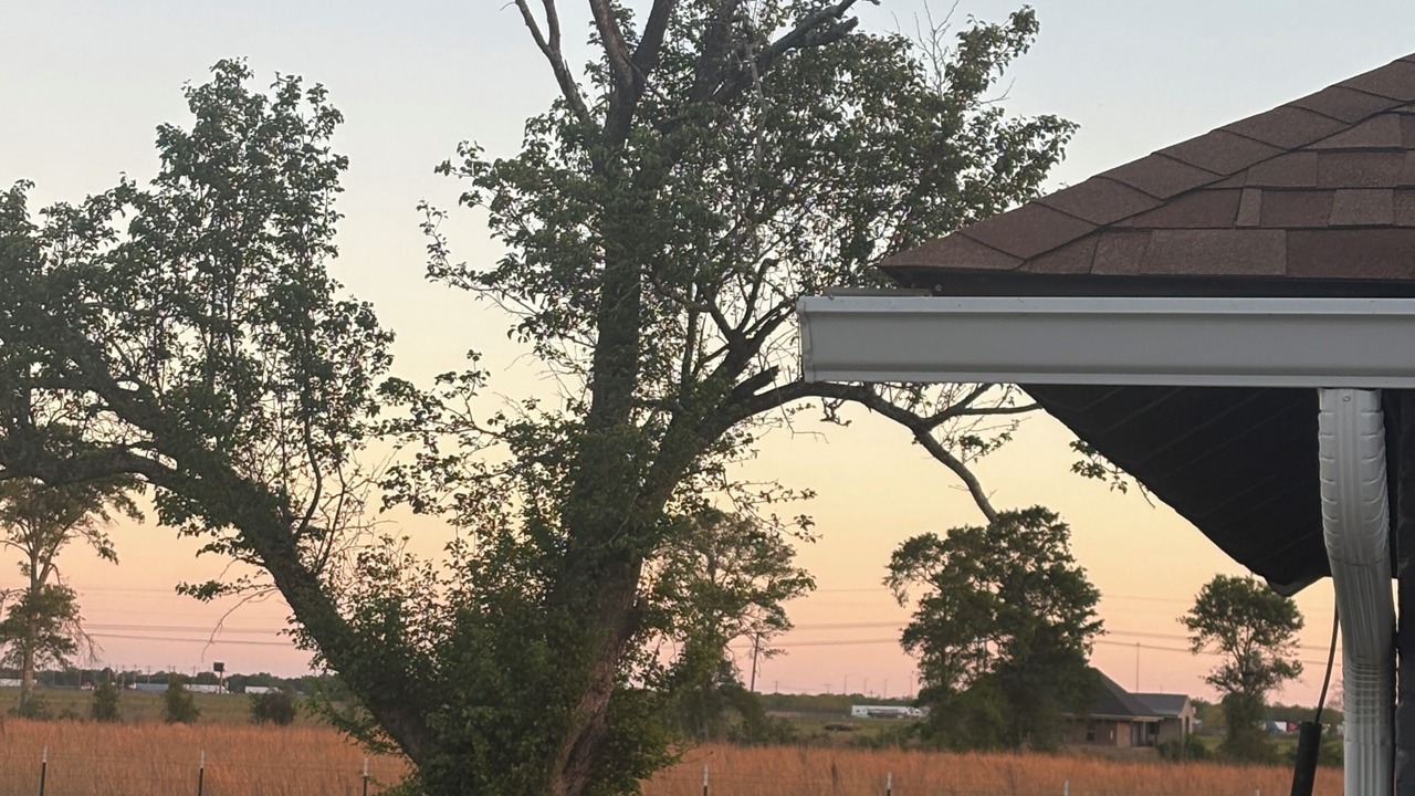 Photo of Outdoor in Bell City
