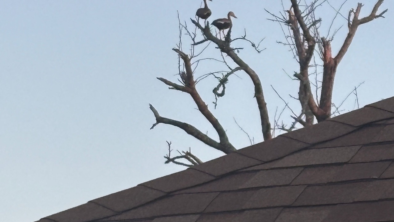 Photo of Others in Bell City