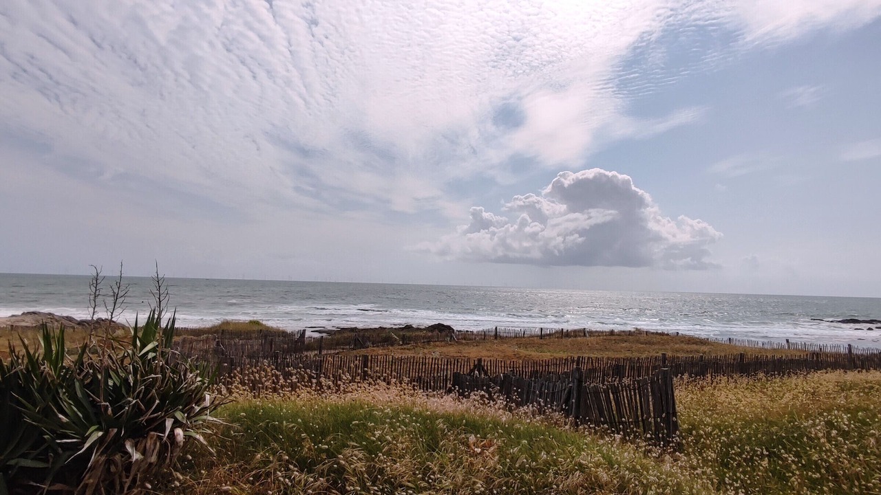 Photo of Others in Batz-sur-Mer