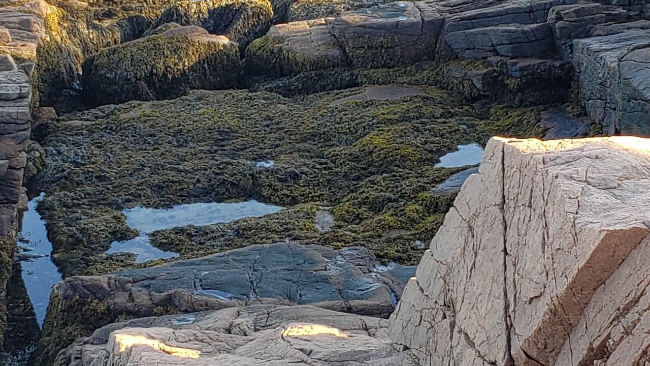 Photo of Others in Manset