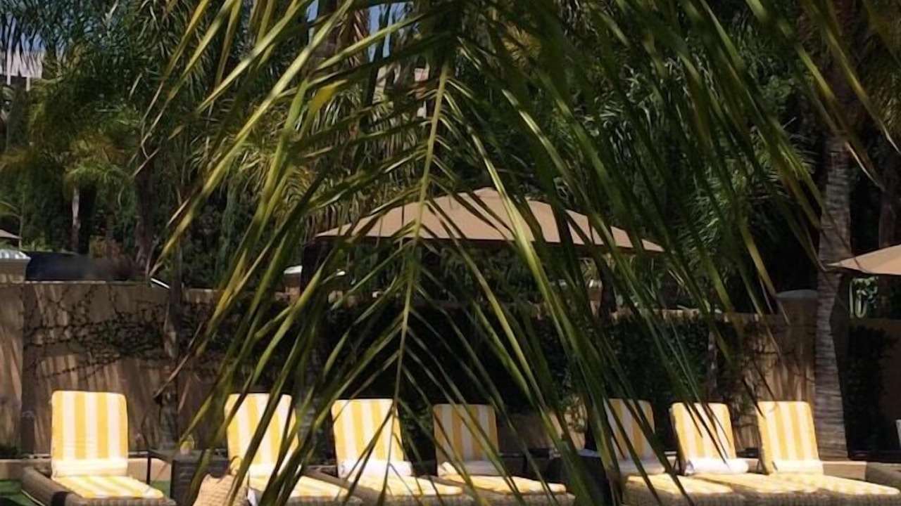 Photo of Outdoor in East Hollywood