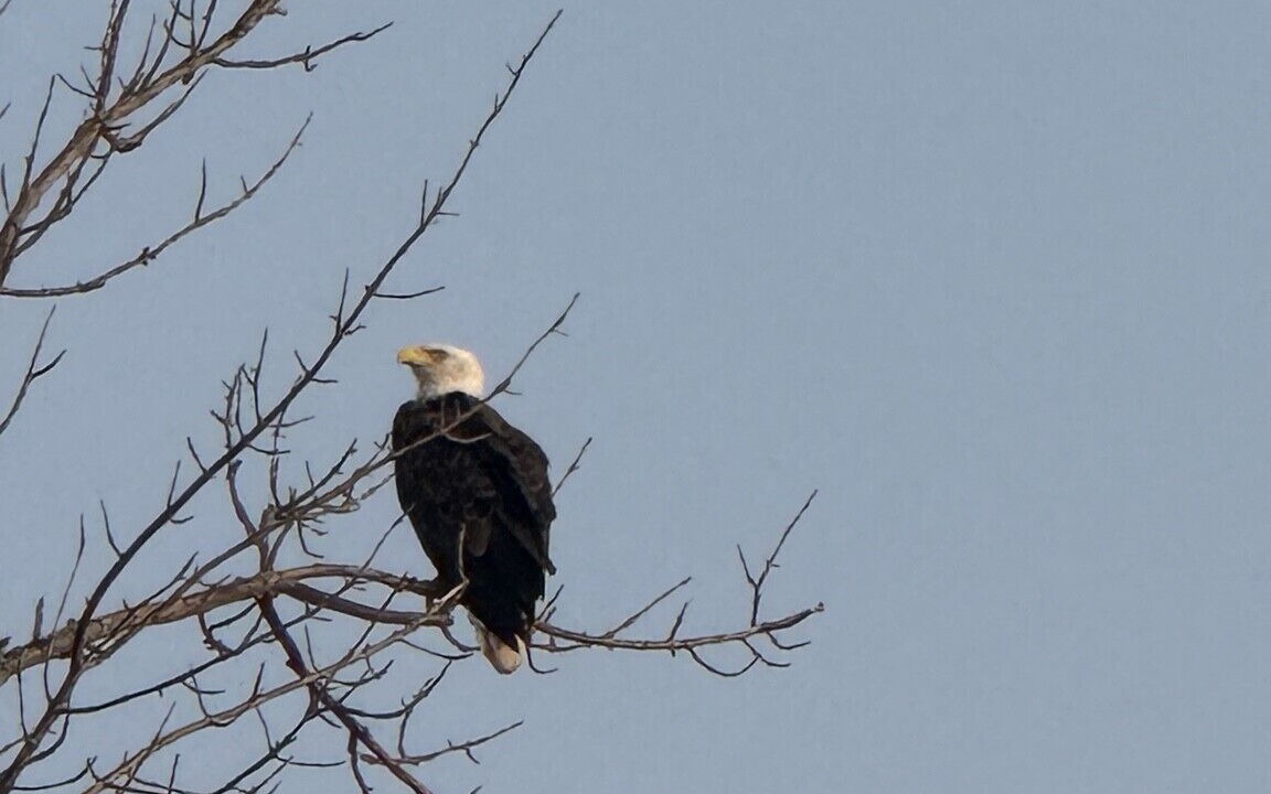 Photo of Others in Kent