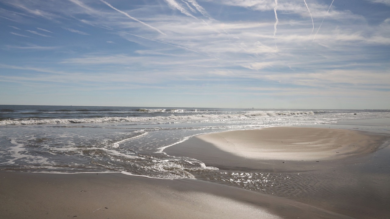 Photo of Others in Wildwood Crest