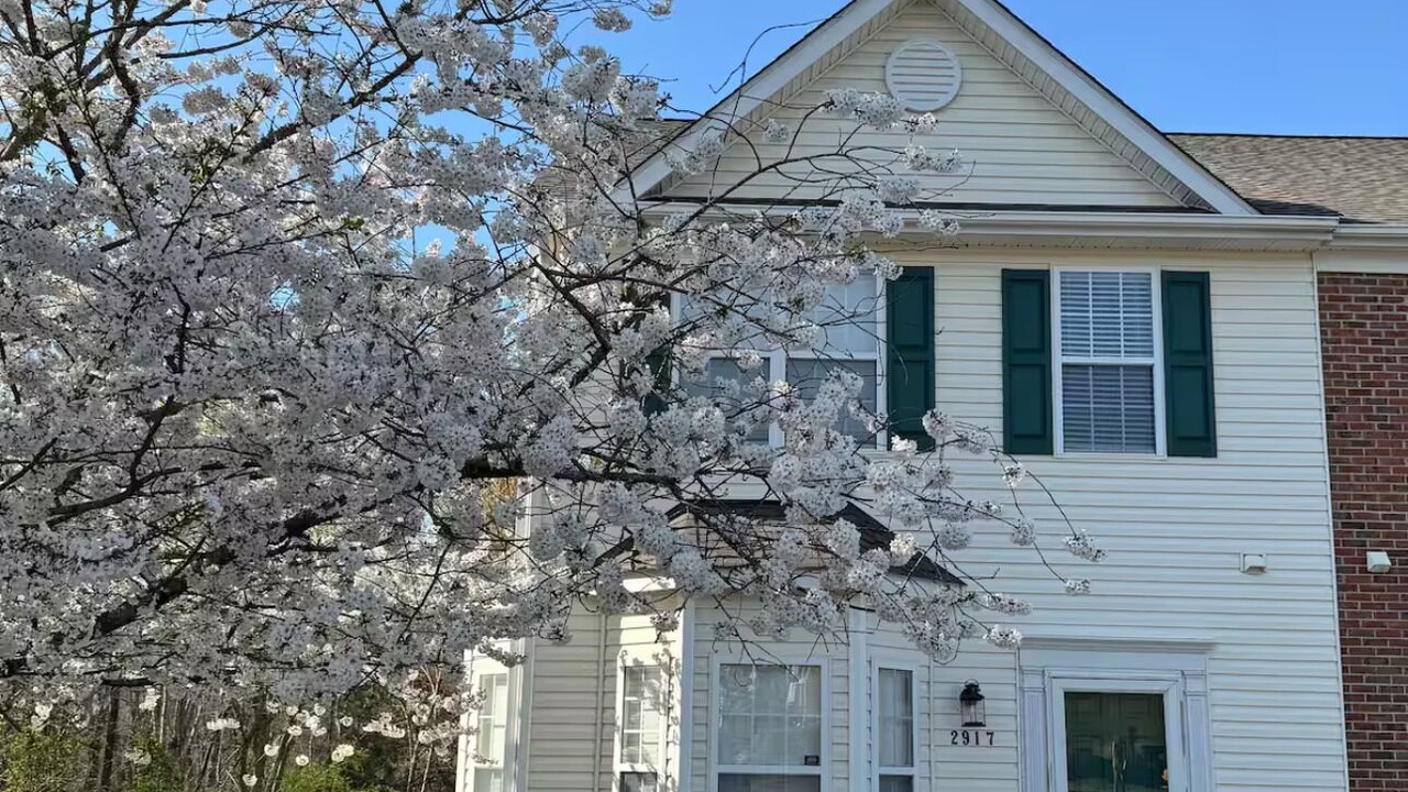 Photo of Outdoor in Wake Forest