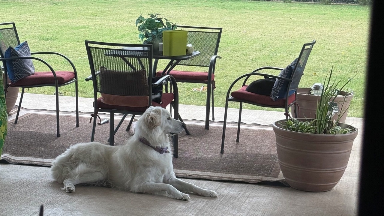 Photo of Outdoor in McKinney