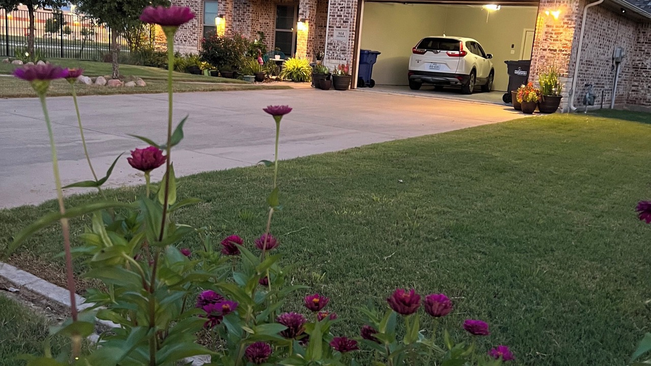 Photo of Outdoor in McKinney