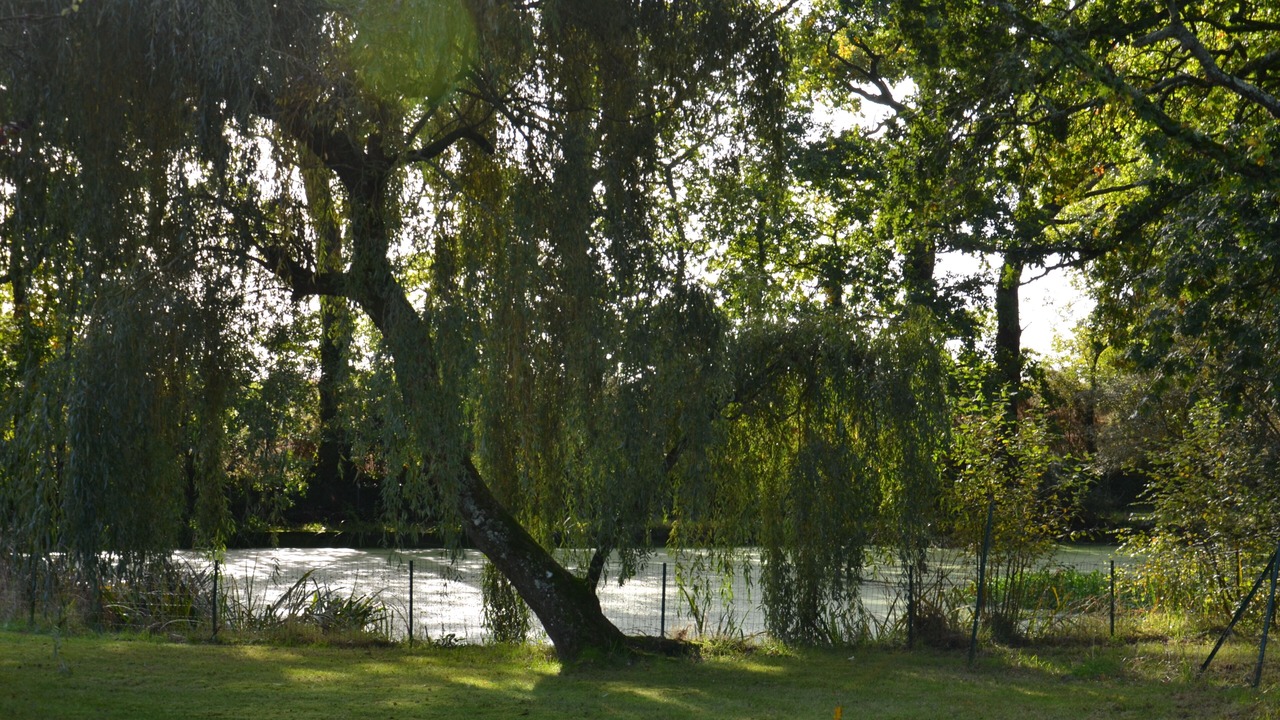 Photo of Others in Plumergat
