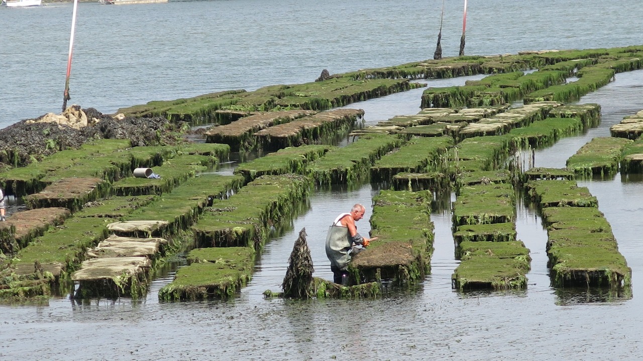 Photo of Others in Plumergat