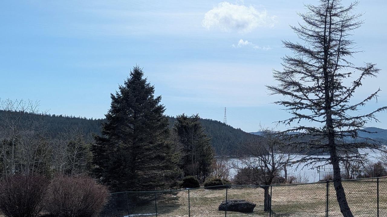 Photo of Others in Saint John