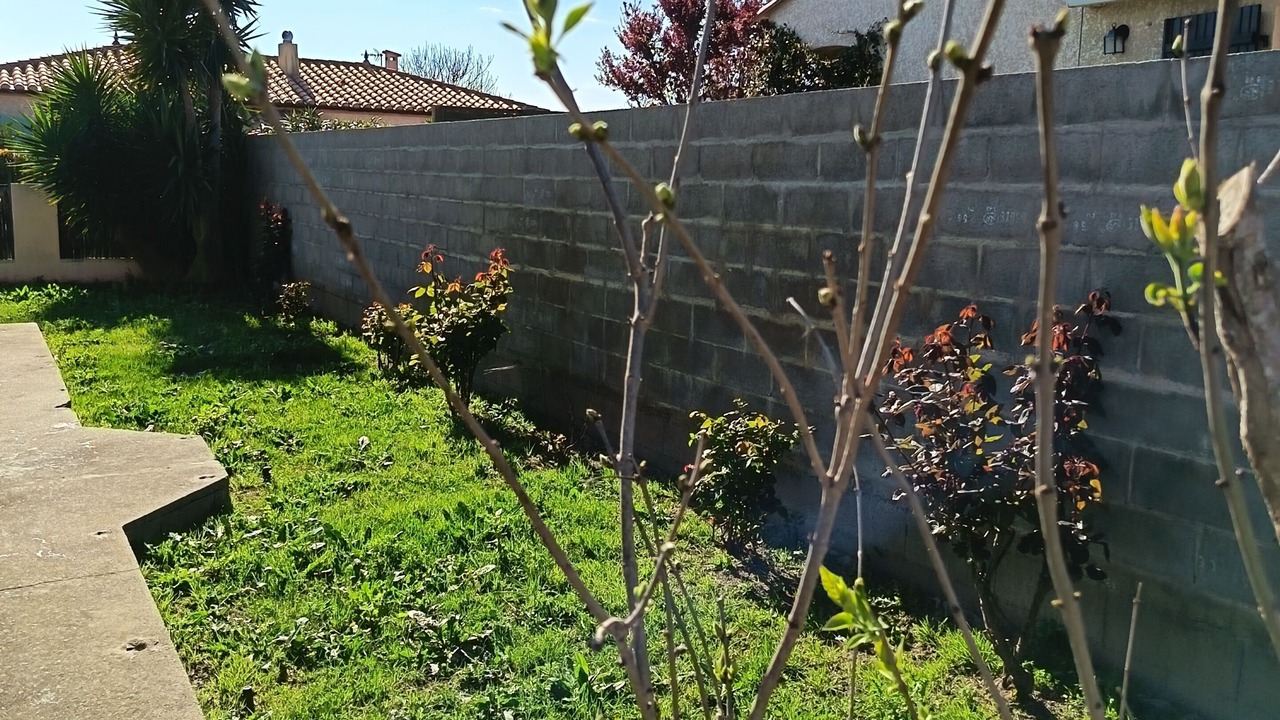 Photo of Outdoor in Torreilles