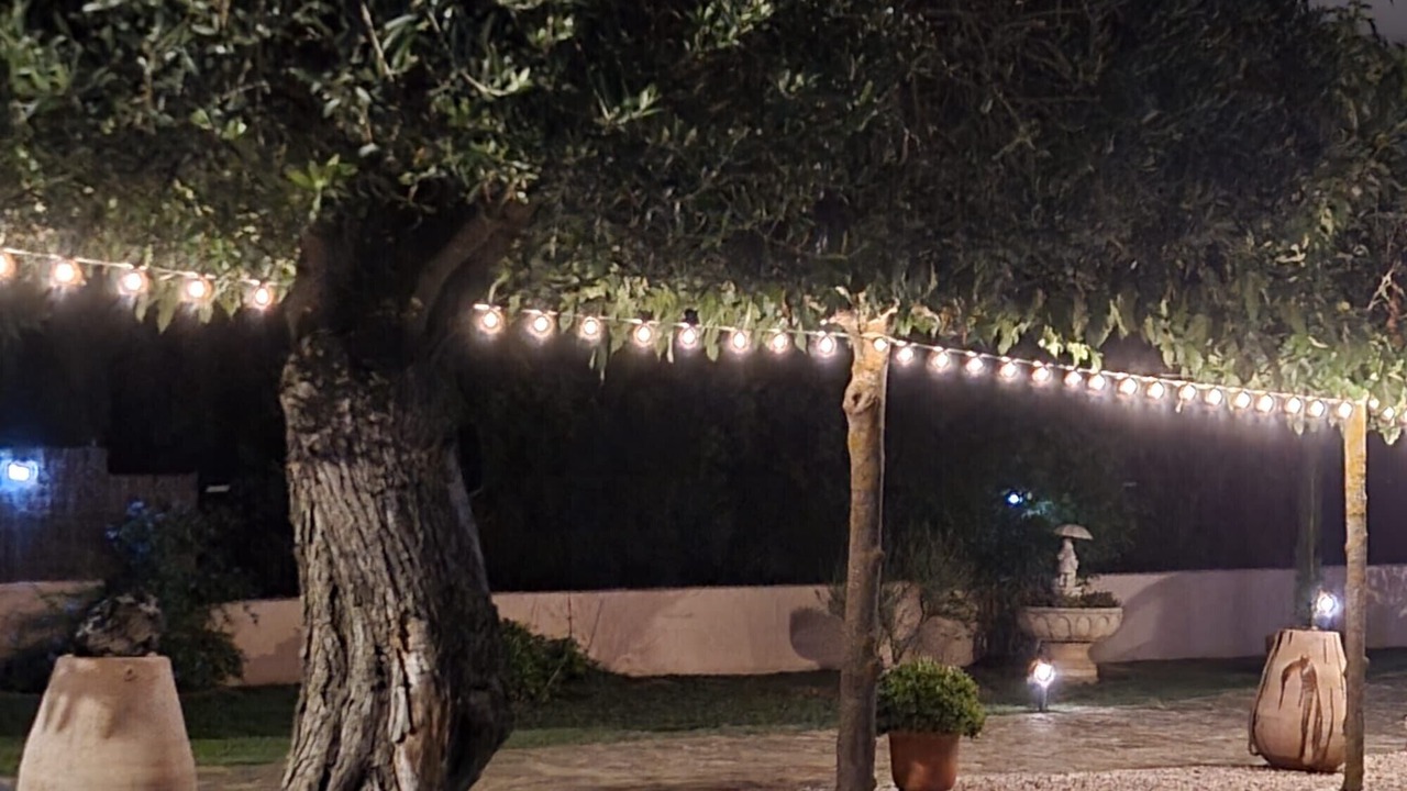 Photo of Outdoor in Castellvi de la Marca