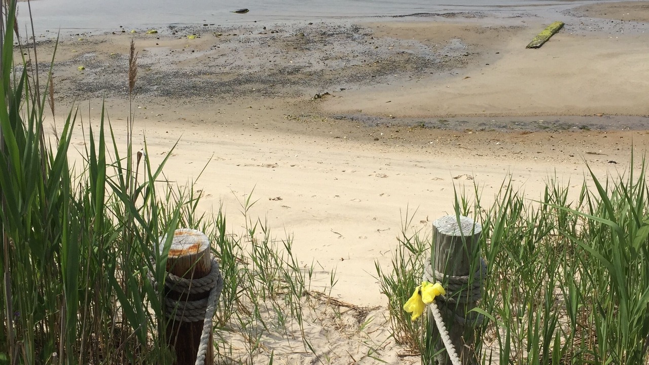 Photo of Others in West Hampton Dunes