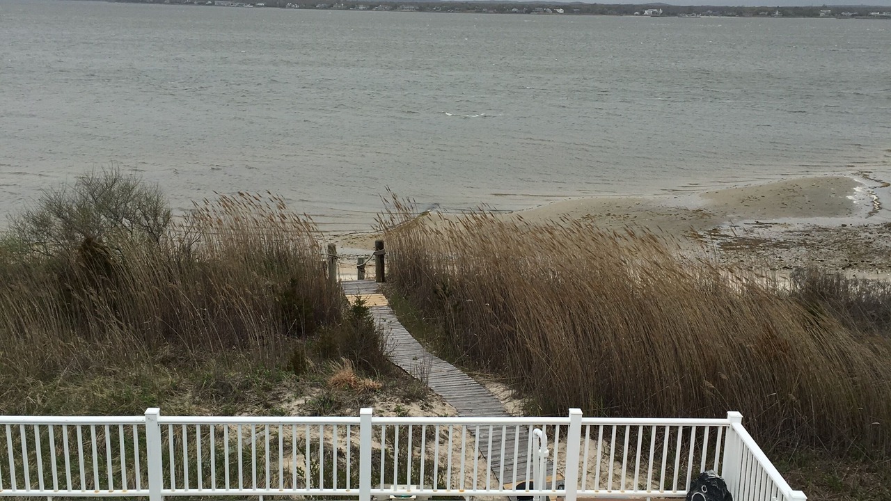 Photo of Outdoor in West Hampton Dunes