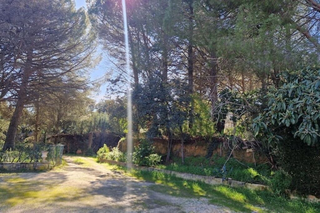 Photo of Outdoor in Saint-Laurent-des-Arbres