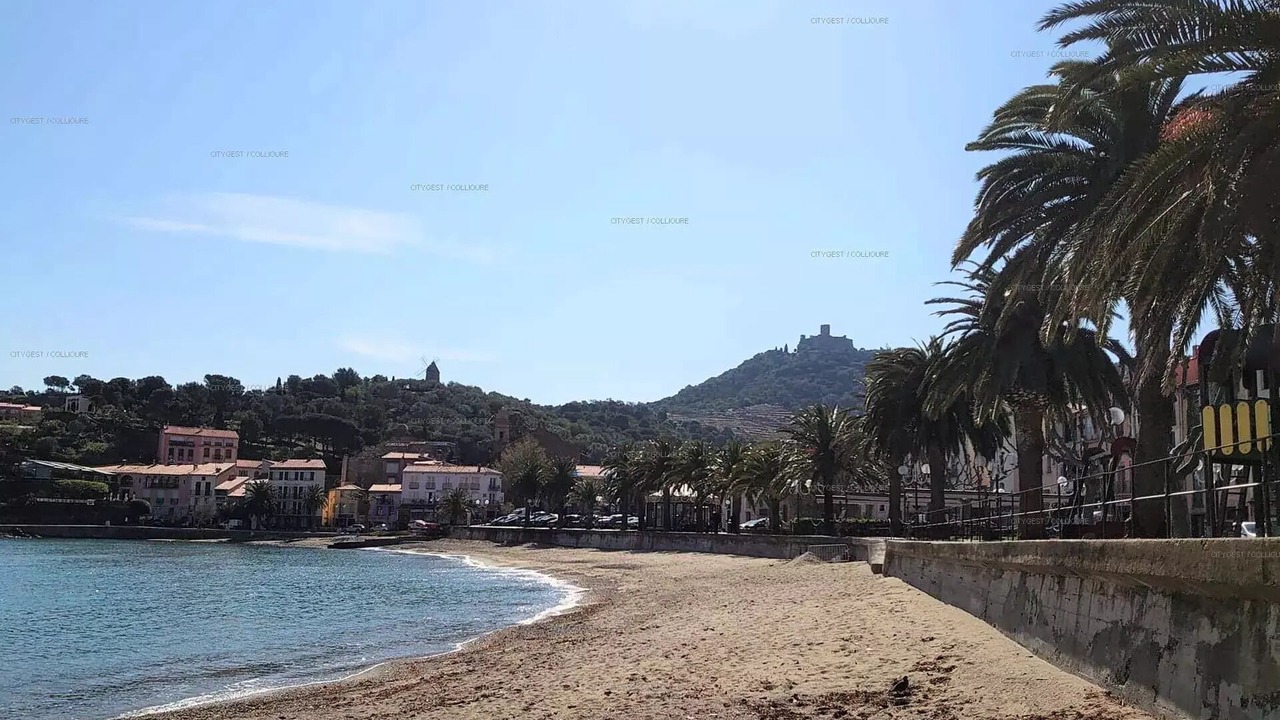 Photo of Others in Collioure