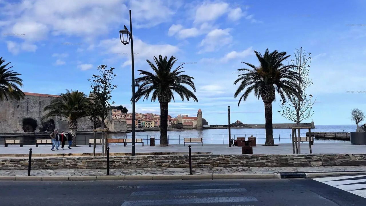 Photo of Others in Collioure