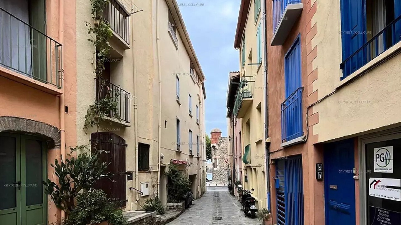 Photo of Others in Collioure