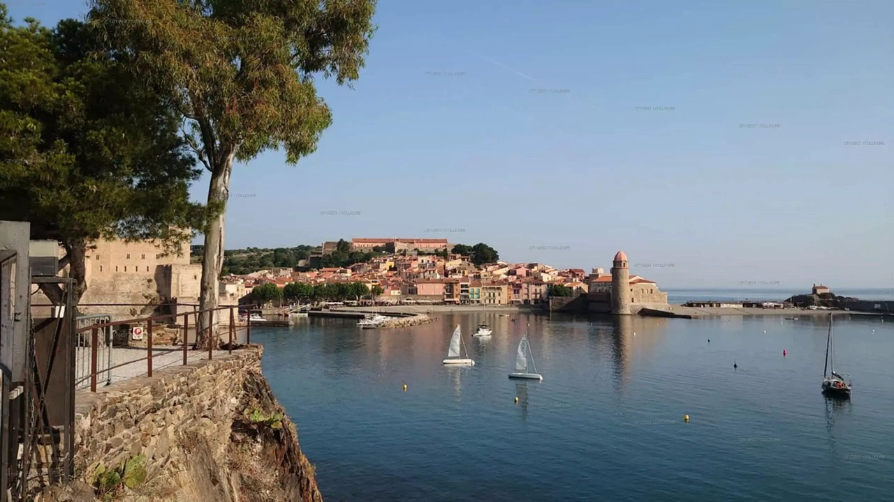 Photo of Others in Collioure