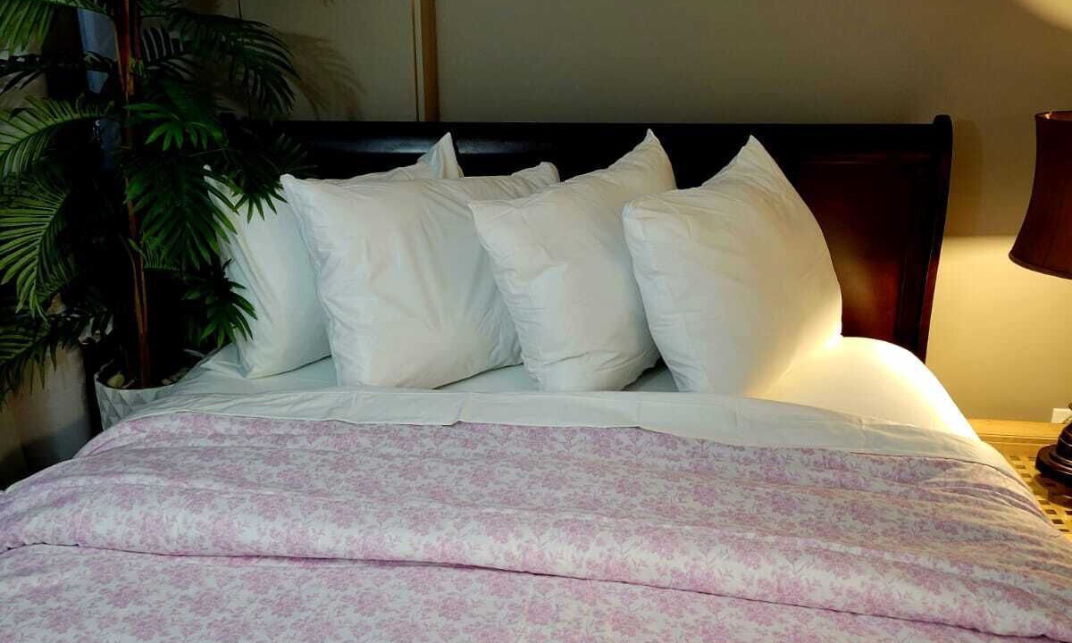 Photo of Bedroom in Terra Nova