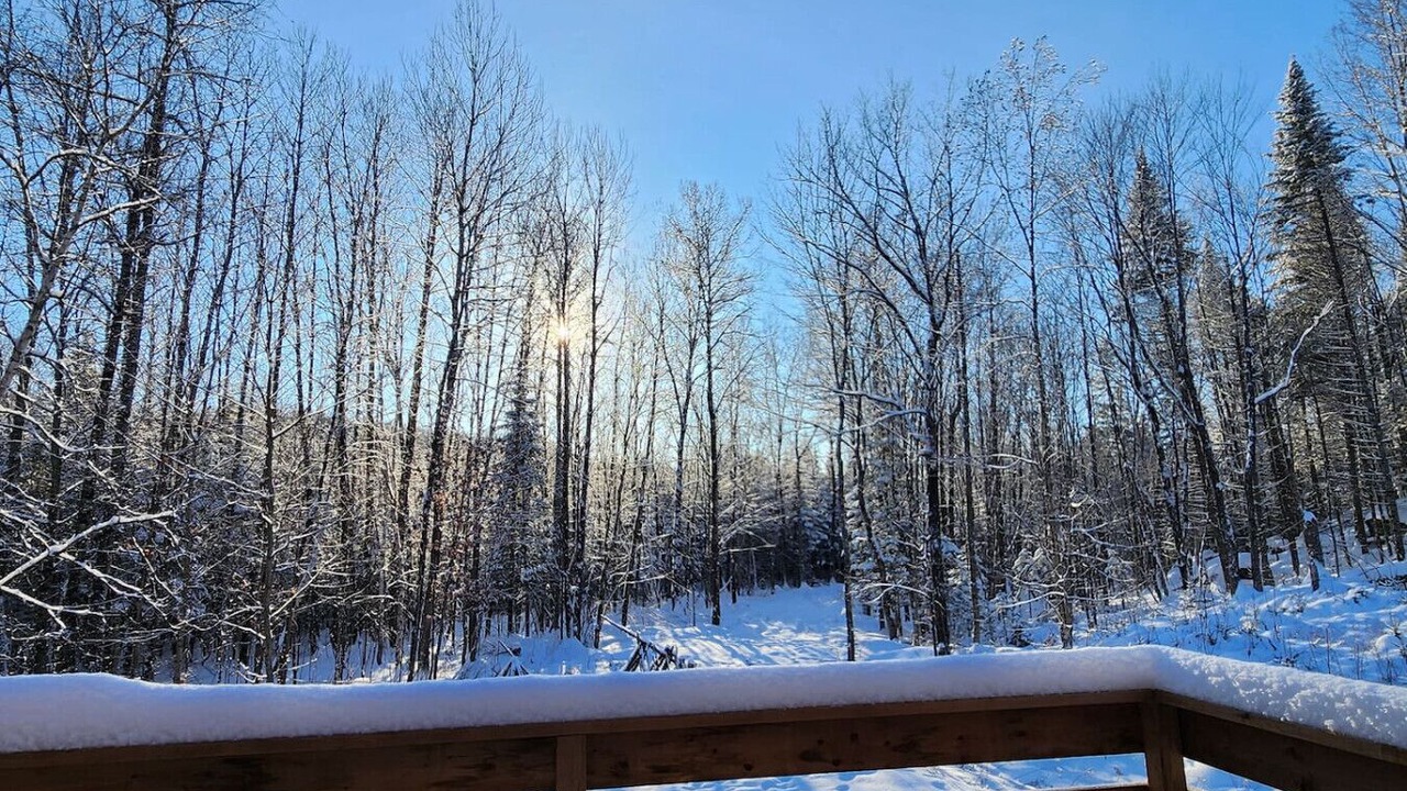 Photo of Outdoor in Mandeville