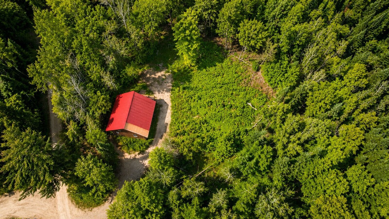 Photo of Outdoor in Mandeville