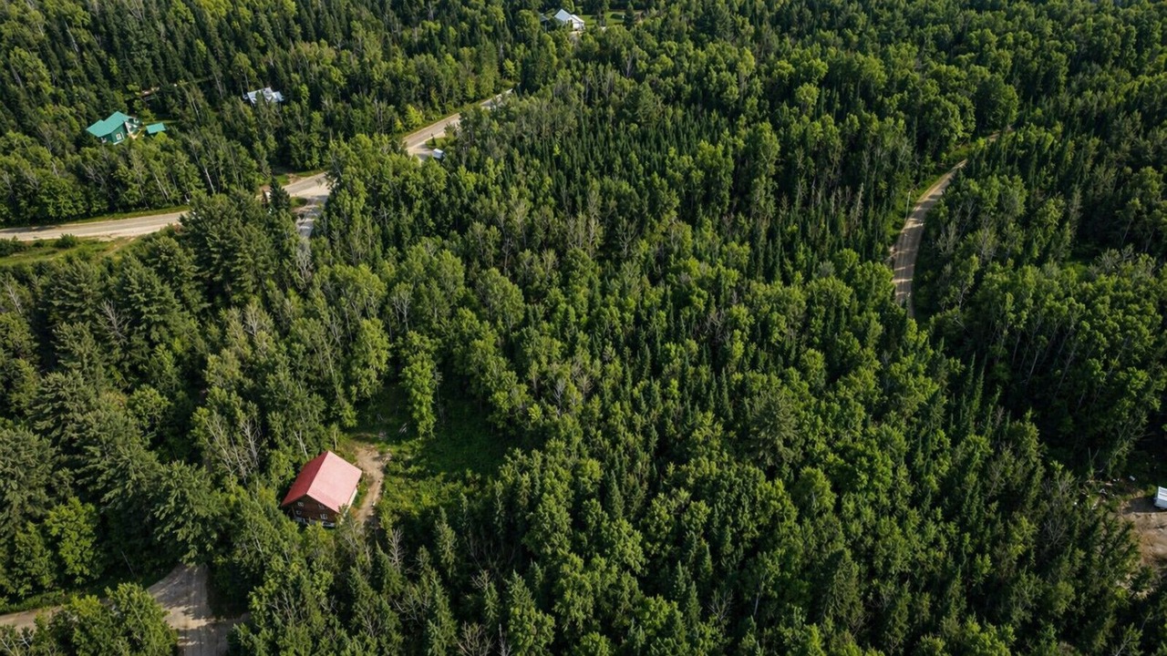 Photo of Outdoor in Mandeville
