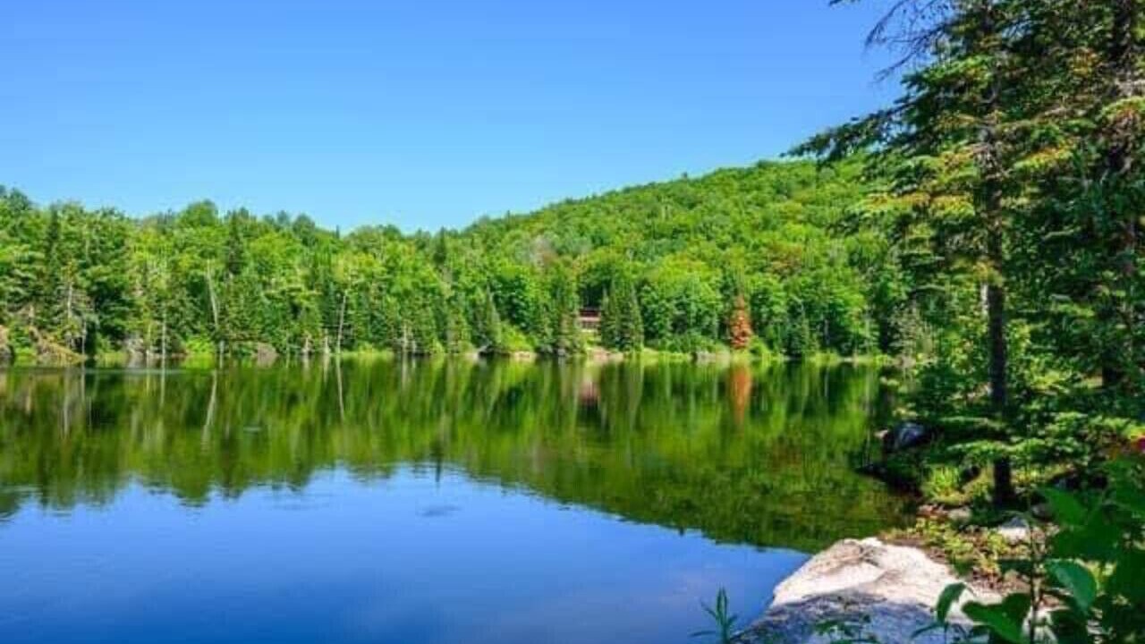 Photo of Others in Mauricie