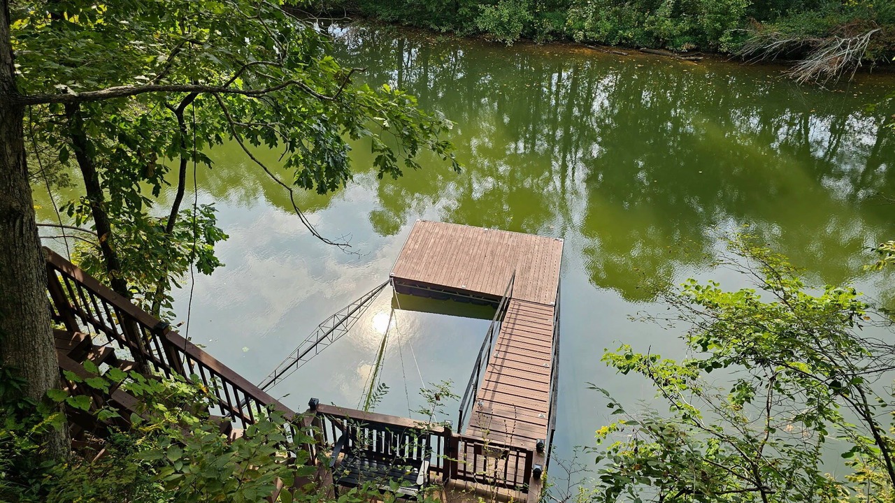 Photo of Others in Rock Island