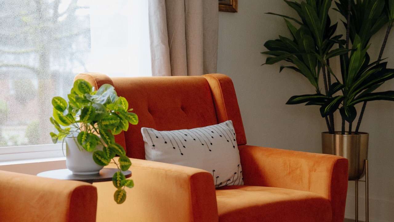Photo of Livingroom in Judkins Park