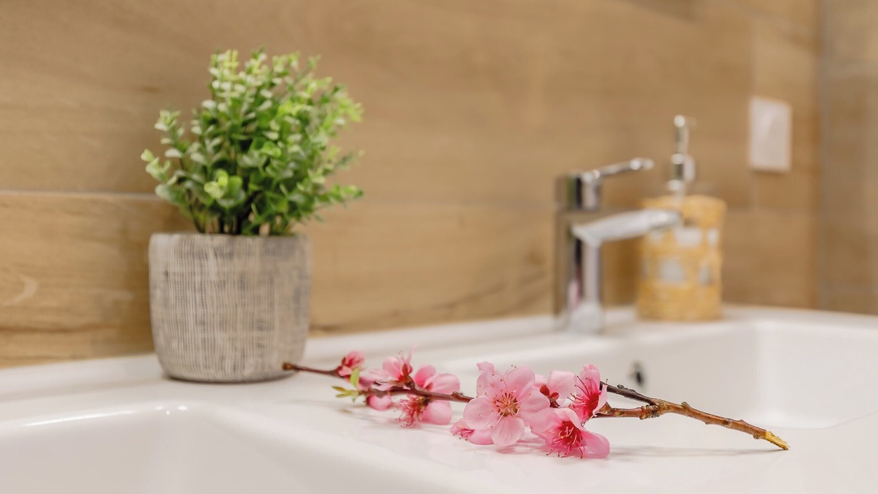 Photo of Bathroom in Notre-Dame-de-Monts
