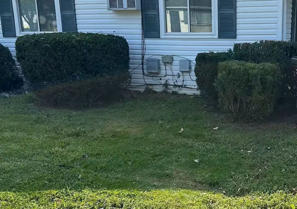 Photo of Outdoor in West Akron