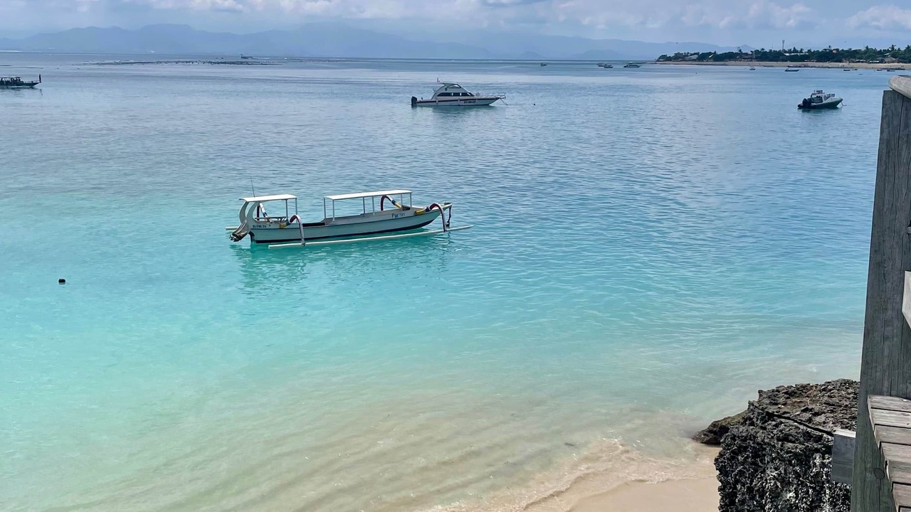 Photo of Others in Mushroom Bay