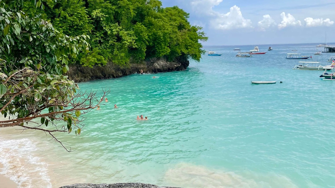Photo of Others in Mushroom Bay