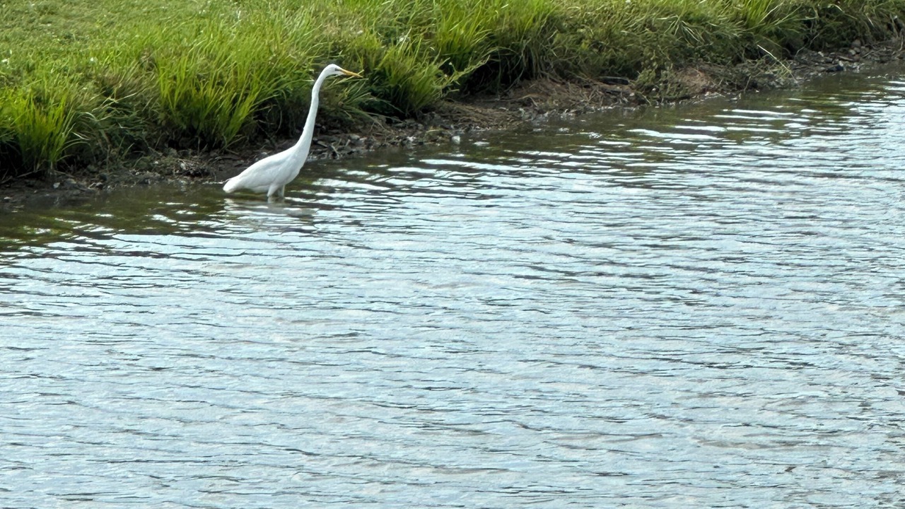 Photo of Others in Otisco